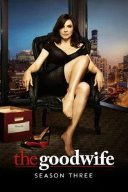 The Good Wife 3. sezon