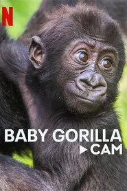 Gorillerin Yaşamından Canlı Yayın posteri
