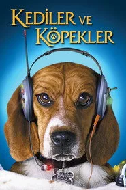 Kediler ve Köpekler posteri