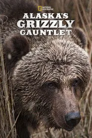Alaska'nın Bozayıları posteri