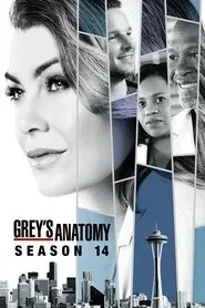 Grey's Anatomy 14. sezon