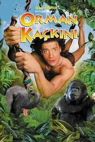 Orman Kaçkını posteri