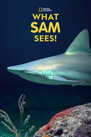 What Sam Sees 1. sezon