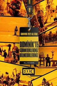 Dominik'te Görmedikleriniz Bilmedikleriniz posteri