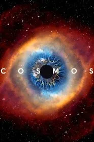 Cosmos posteri