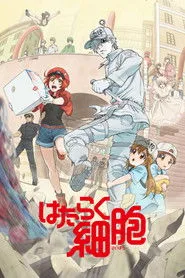 Cells at Work! posteri