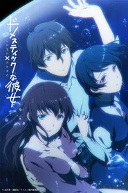 Domestic no Kanojo 1. sezon
