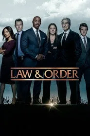 Law & Order 22. sezon