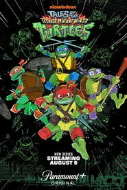 Tales of the Teenage Mutant Ninja Turtles 1. sezon