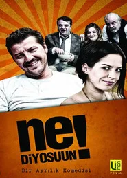 Ne Diyosuun! posteri