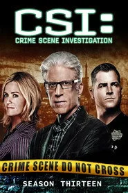 CSI: Crime Scene Investigation 13. sezon