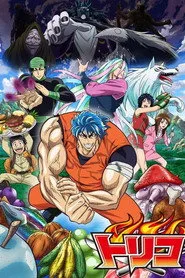 Toriko posteri
