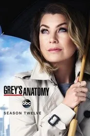 Grey's Anatomy 12. sezon