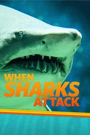 When Sharks Attack 3. sezon