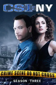 CSI: NY 3. sezon