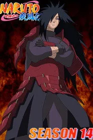 Naruto: Shippuuden 14. sezon