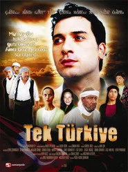 Tek Türkiye posteri