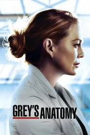 Grey's Anatomy 17. sezon