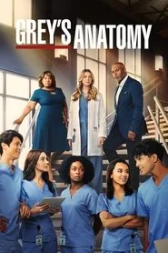 Grey's Anatomy 19. sezon