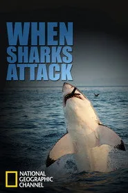 When Sharks Attack 1. sezon