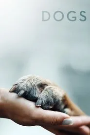 Köpekler 1. sezon