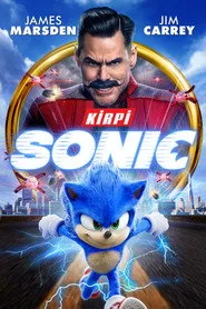 Kirpi Sonic posteri