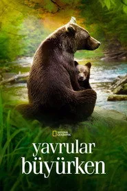 Yavrular Büyürken posteri