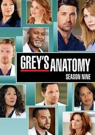 Grey's Anatomy 9. sezon