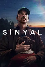 Sinyal posteri