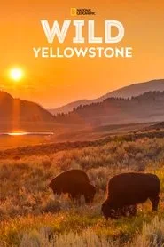 Vahşi Yolculuk: Yellowstone 1. sezon