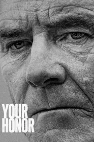 Your Honor 1. sezon