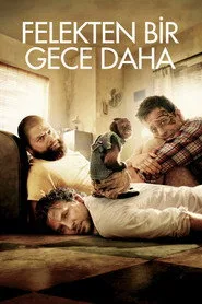 Felekten Bir Gece Daha posteri