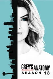 Grey's Anatomy 13. sezon