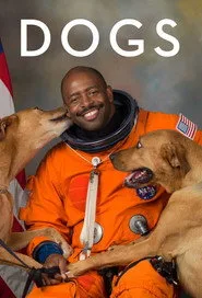 Köpekler 2. sezon