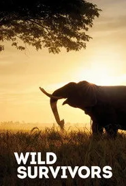 Wild Survivors posteri