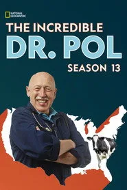 Yetenekli Doktor Pol 13. sezon