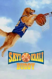 Sayı Kralı Buddy posteri