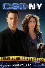 CSI: NY 6. sezon