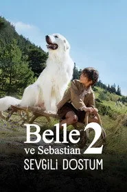 Sebastian Sevgili Dostum posteri