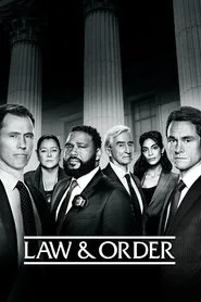 Law & Order 21. sezon