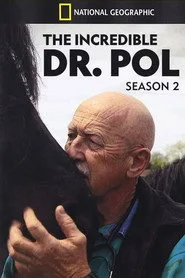 Yetenekli Doktor Pol 2. sezon