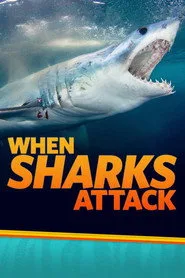 When Sharks Attack 4. sezon