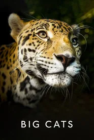 Big Cats posteri