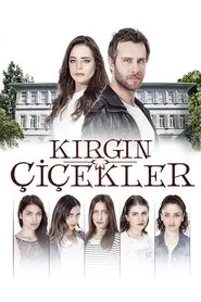 Kırgın Çiçekler posteri