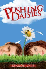 Pushing Daisies 1. sezon