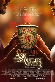Aşk Tesadüfleri Sever 3 posteri