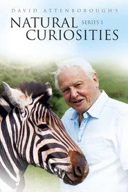 David Attenborough ile Sıradışı Canlılar 1. sezon