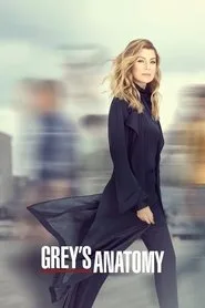 Grey's Anatomy 16. sezon