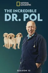 Yetenekli Doktor Pol 15. sezon