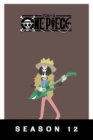 One Piece 12. sezon